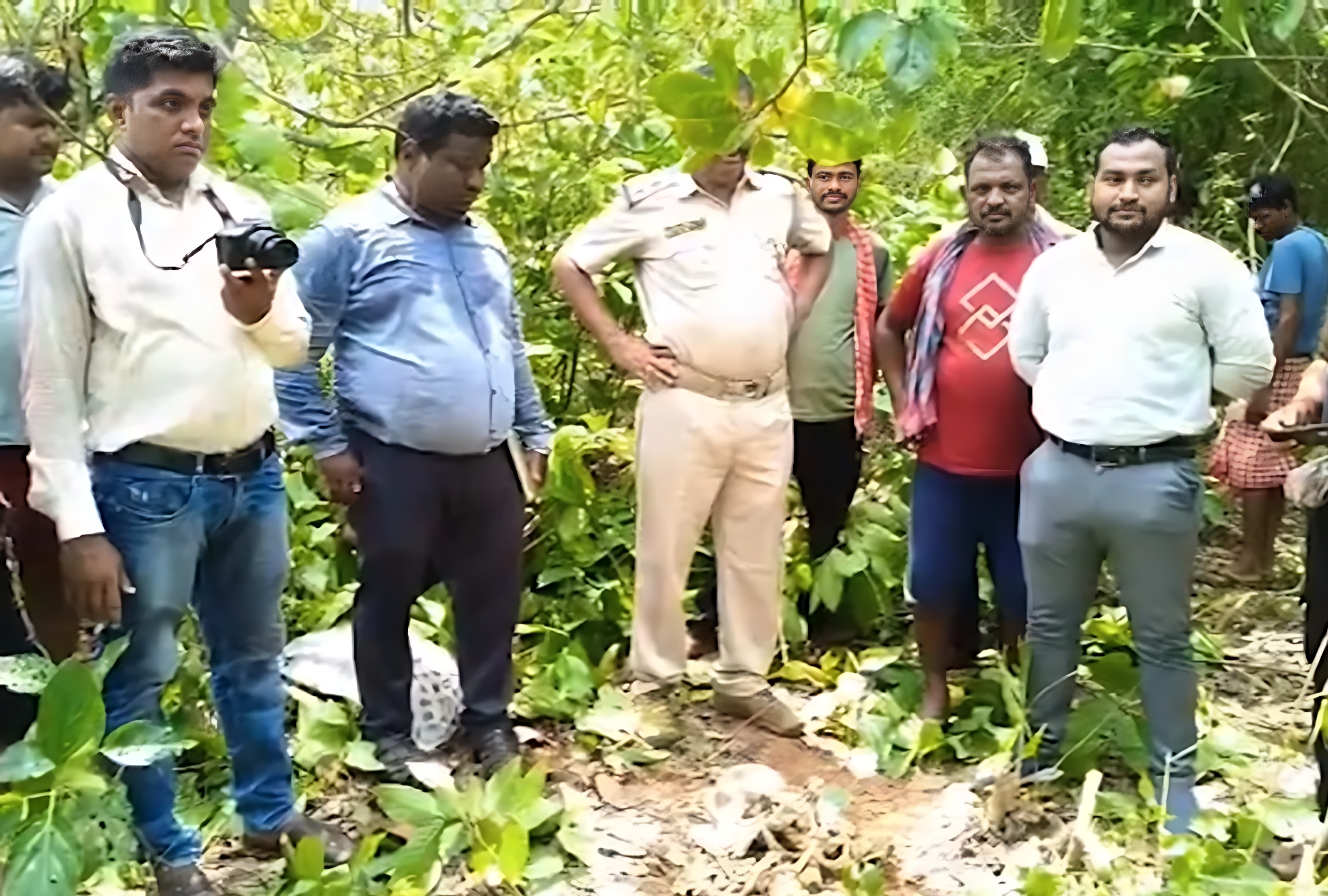 Scattered bones, unanswered questions: Human skeleton found in cashew forest in Odisha